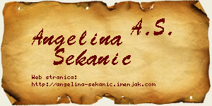 Angelina Sekanić vizit kartica